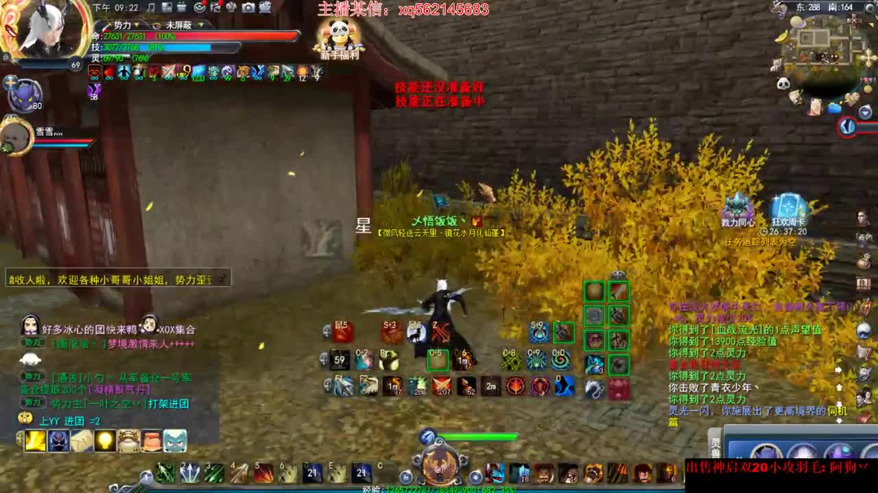 这个羽毛好骚啊 第2段