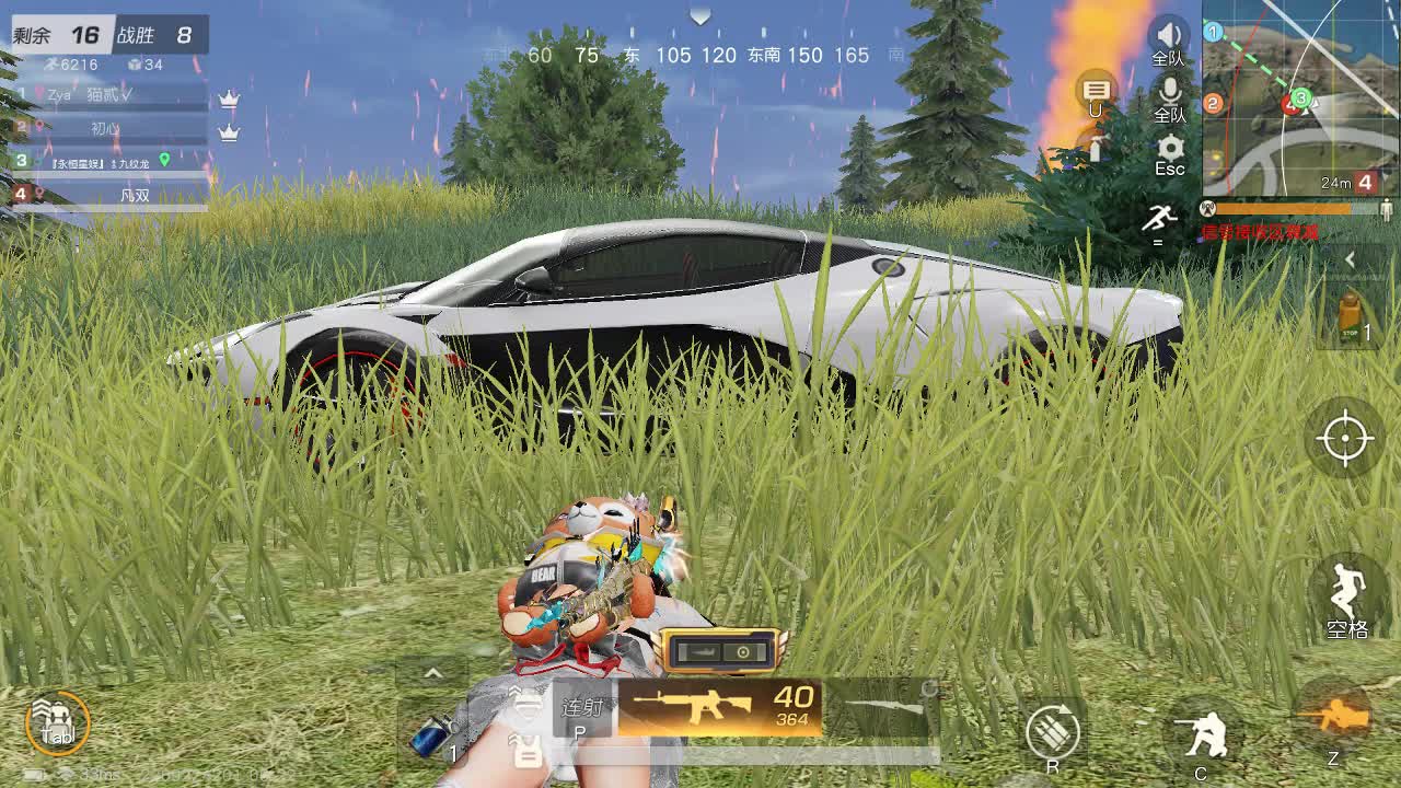 人生建议，别当狗 第1段