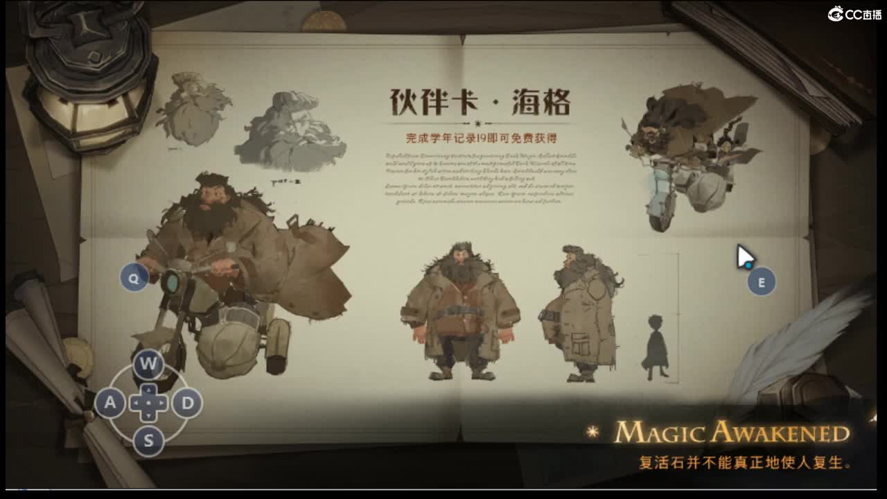 气呼呼一晚·哈利波特