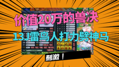 梦幻西游：13J净台雷鸟人打书，先打力劈再打神马，这资源真刺激