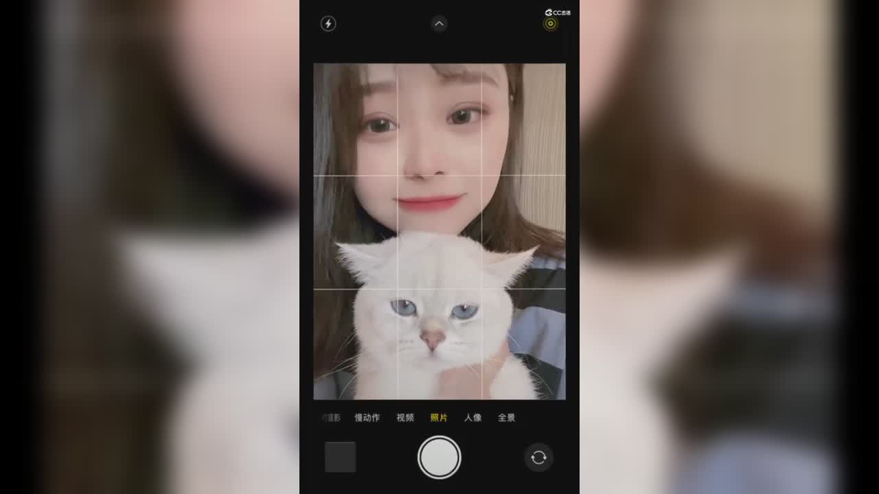 乐嫣视频