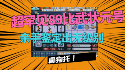 梦幻西游：罕见89比武状元号展示，边打比武边赚钱？运气太好！