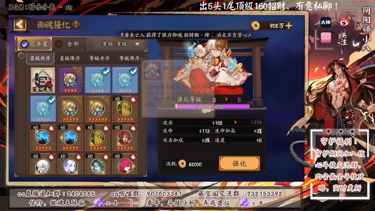 晚上双速车！能出几个头 第1段