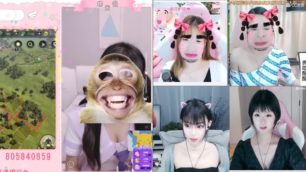 我与春风皆是过客