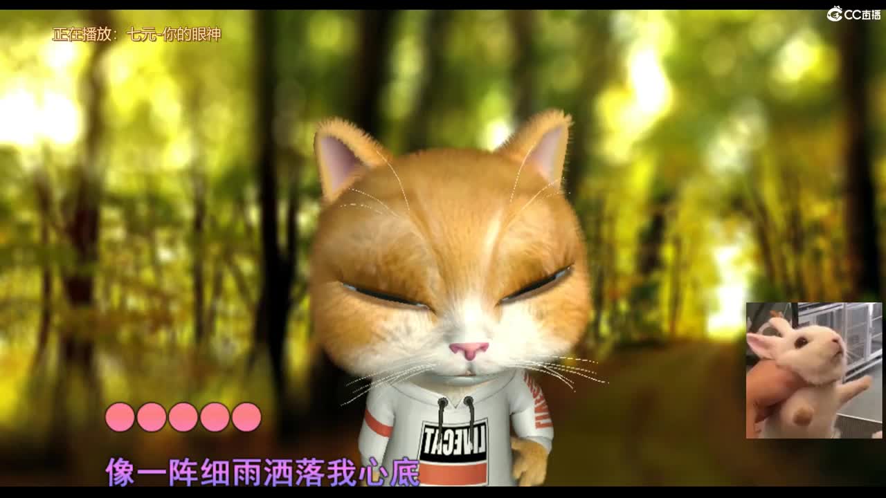 我把爱意藏在身后 第2段