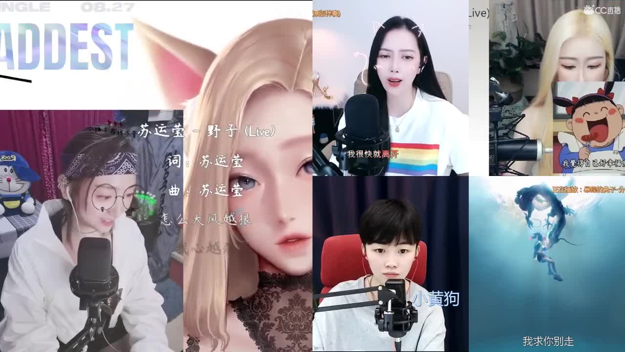 新主播，求关注呦！