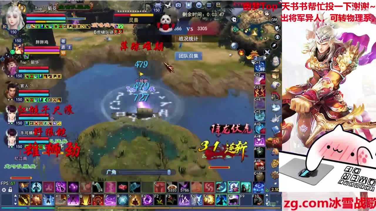 菊花150司星