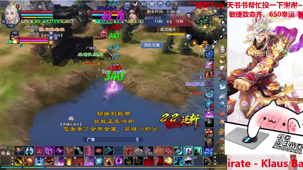 菊花150司星2