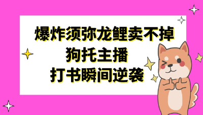 梦幻西游：9技能爆炸须弥龙鲤卖不掉，狗托主播打书瞬间逆袭