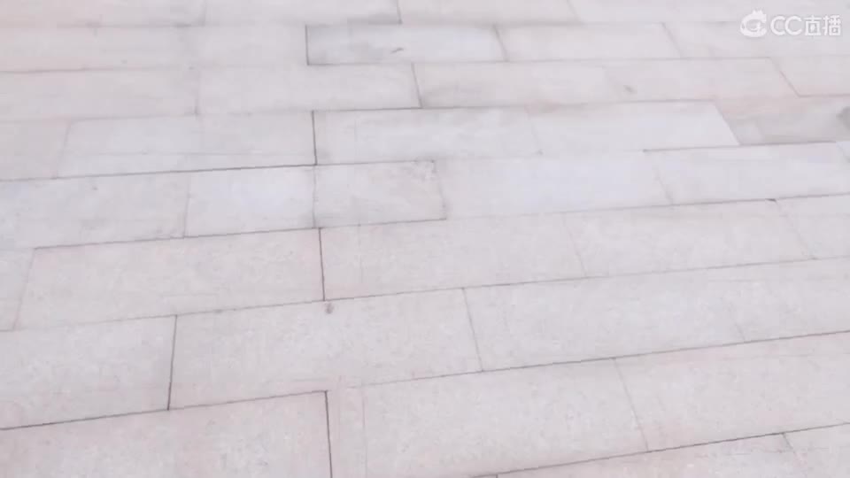 明日之后之户外活动