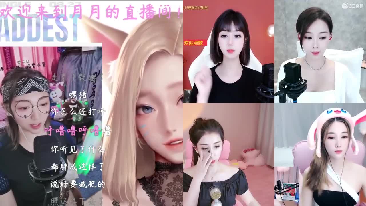 新主播，求关注呦！