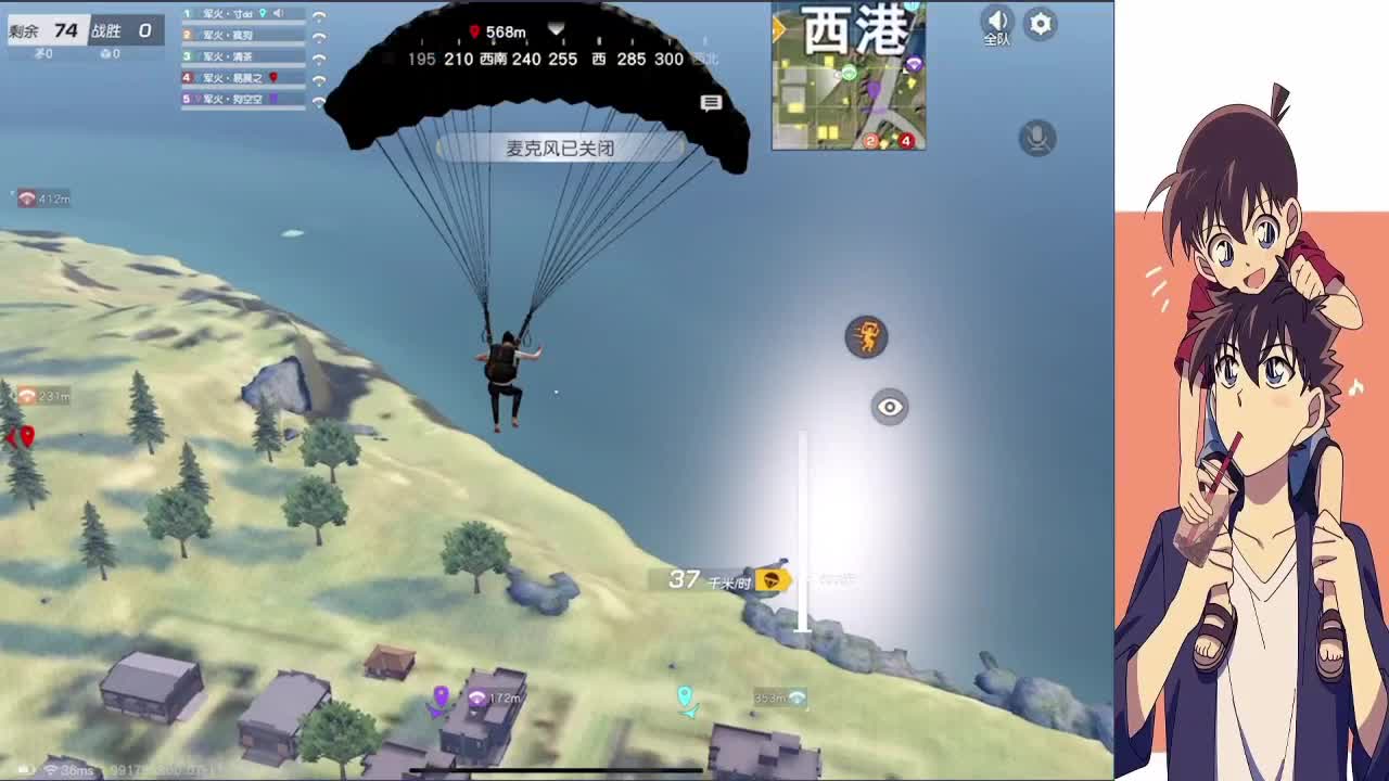 兔子 秋总森日可乐