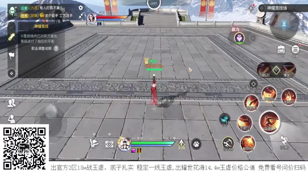 玉虚神耀王者 接全职业神耀王者 接一单全托 接天谕一切资源 第2段
