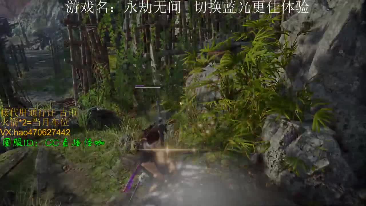 接永劫通行证 修行 古币