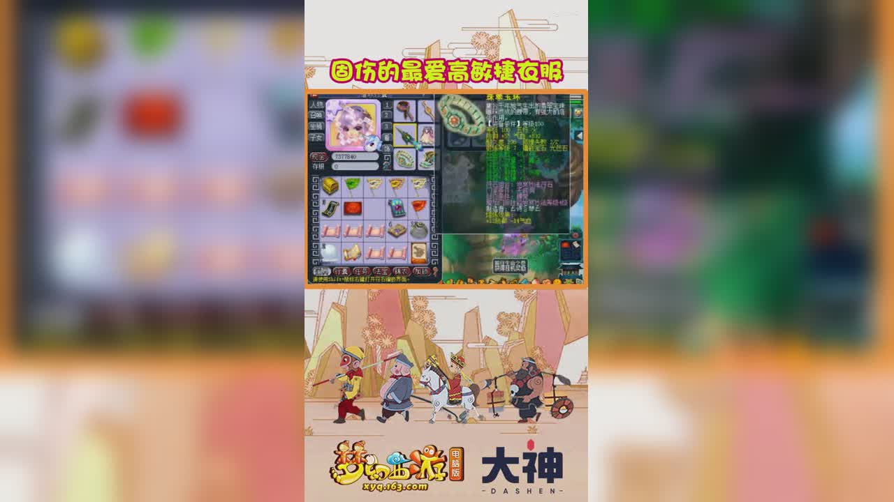 固伤的最爱高敏捷衣服