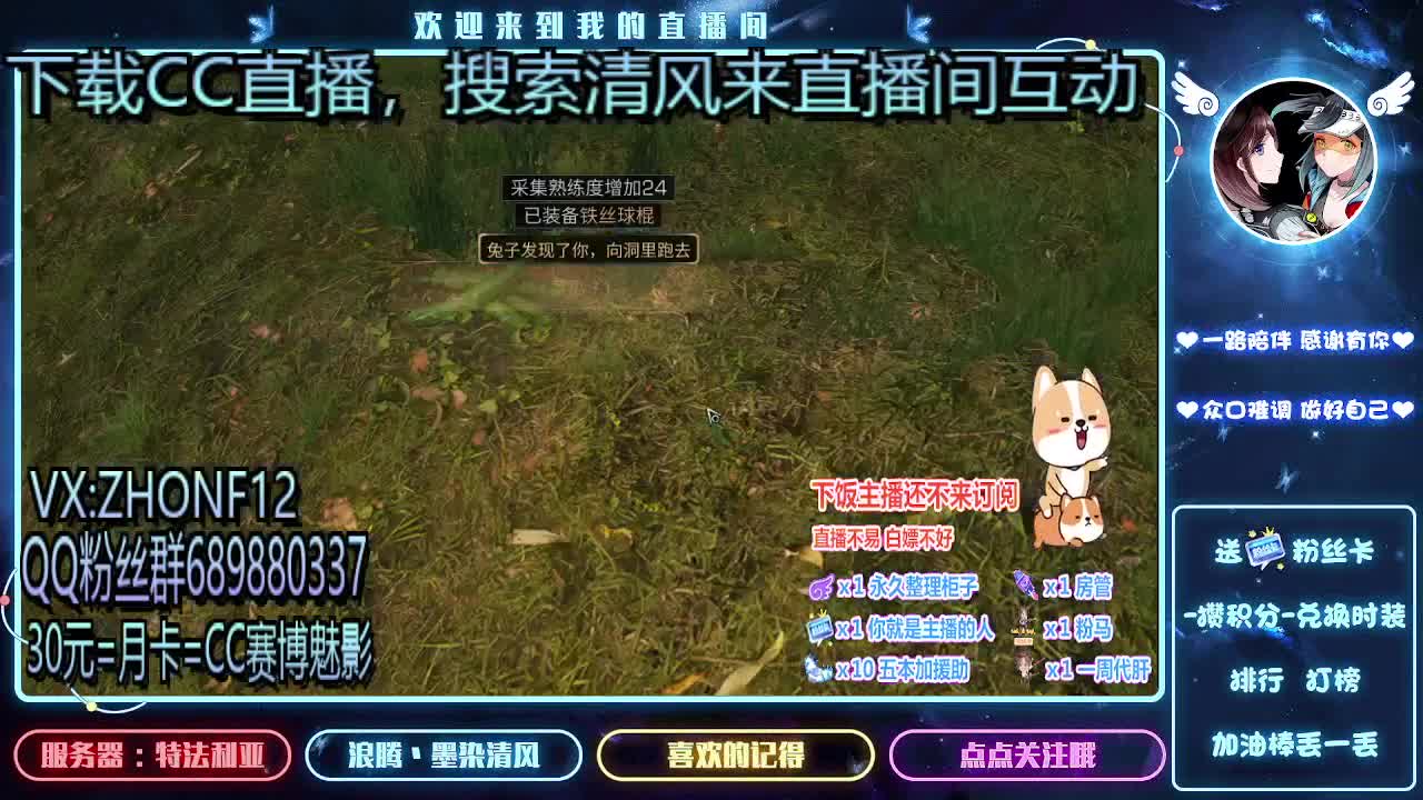 30元兑换CC时装 第2段