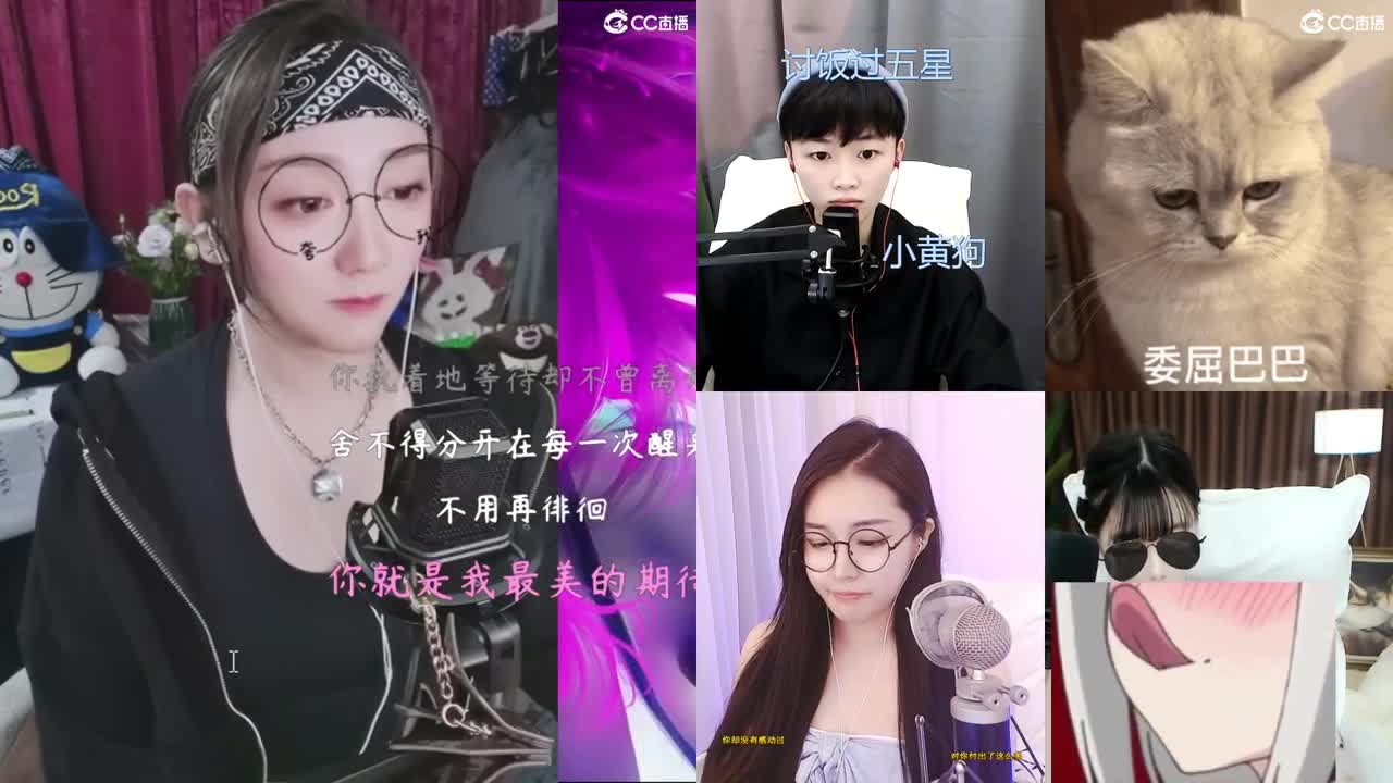 你的开心果来啦！