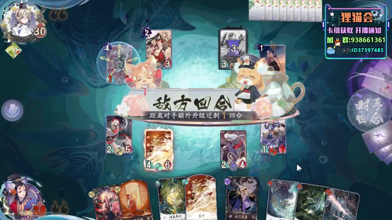 8段紫岩开撕【狸猫会】