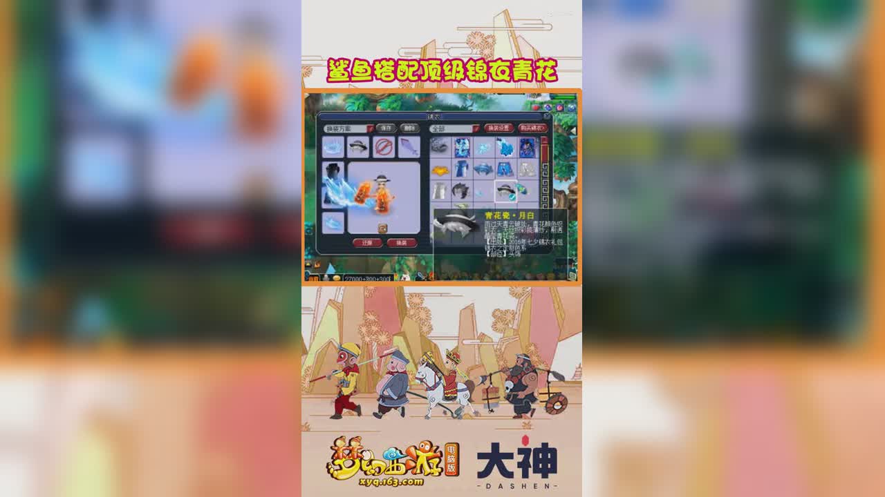 鲨鱼搭配顶级锦衣青花