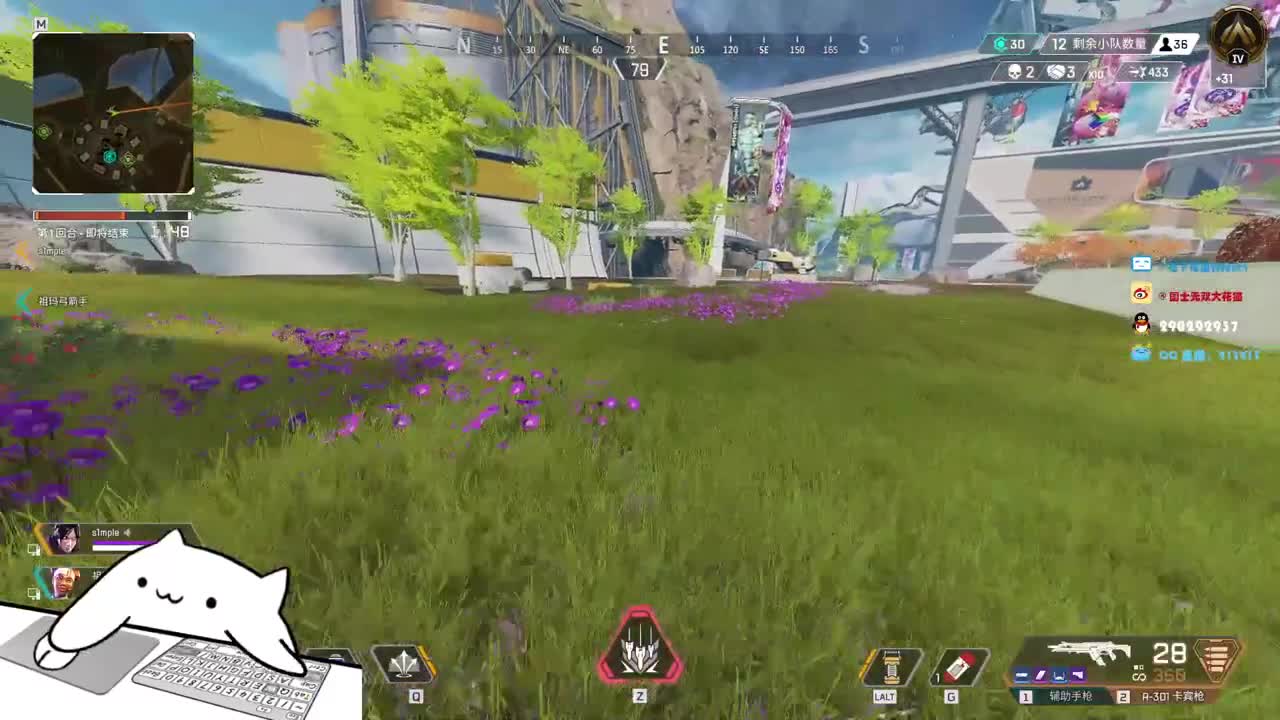 台风天别出门了