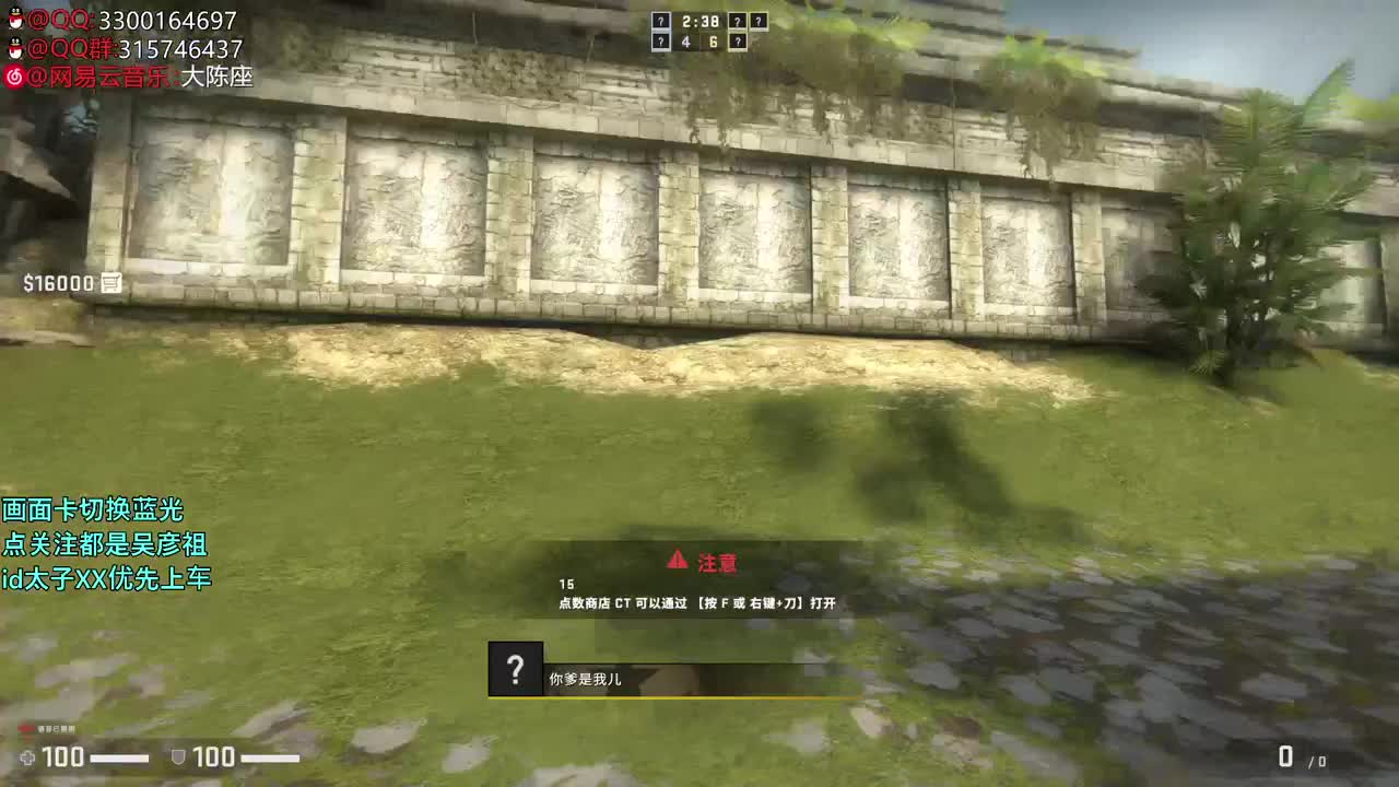 【太子】CSGO
