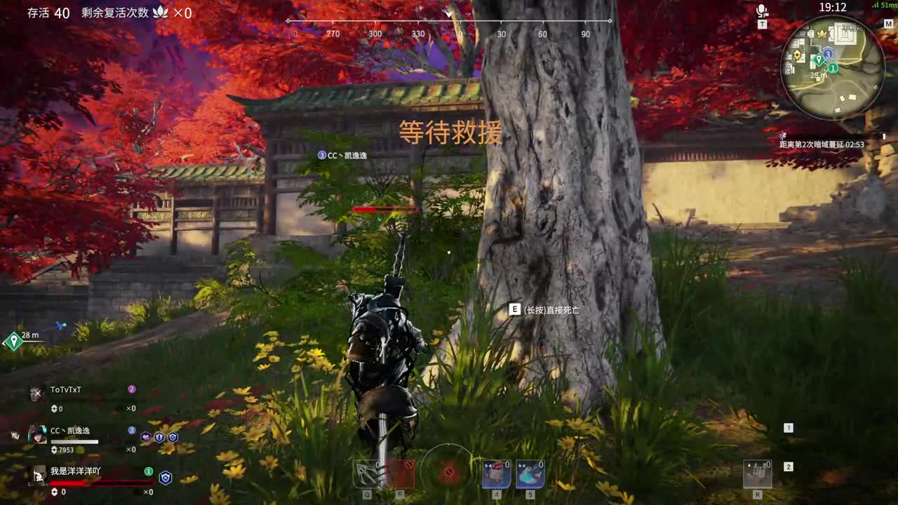 洋洋洋：排位排位 第3段