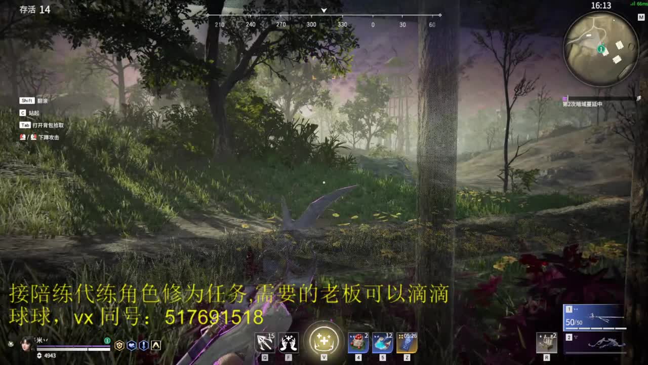 修罗榜前10接陪练，代链，修为。 第1段