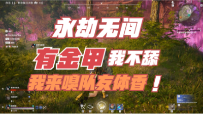 【永劫无间】有金甲我不舔居然跑去舔紫的？？