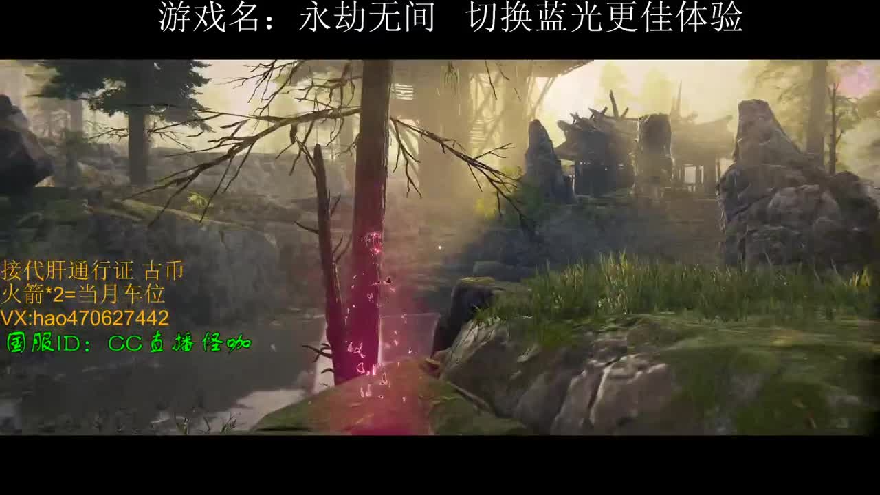 接古币 修行 通行证