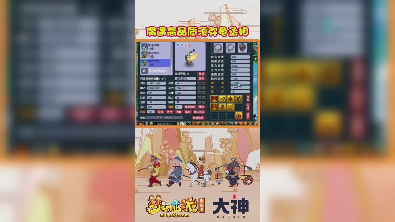 偶遇高品质须弥龟丞相