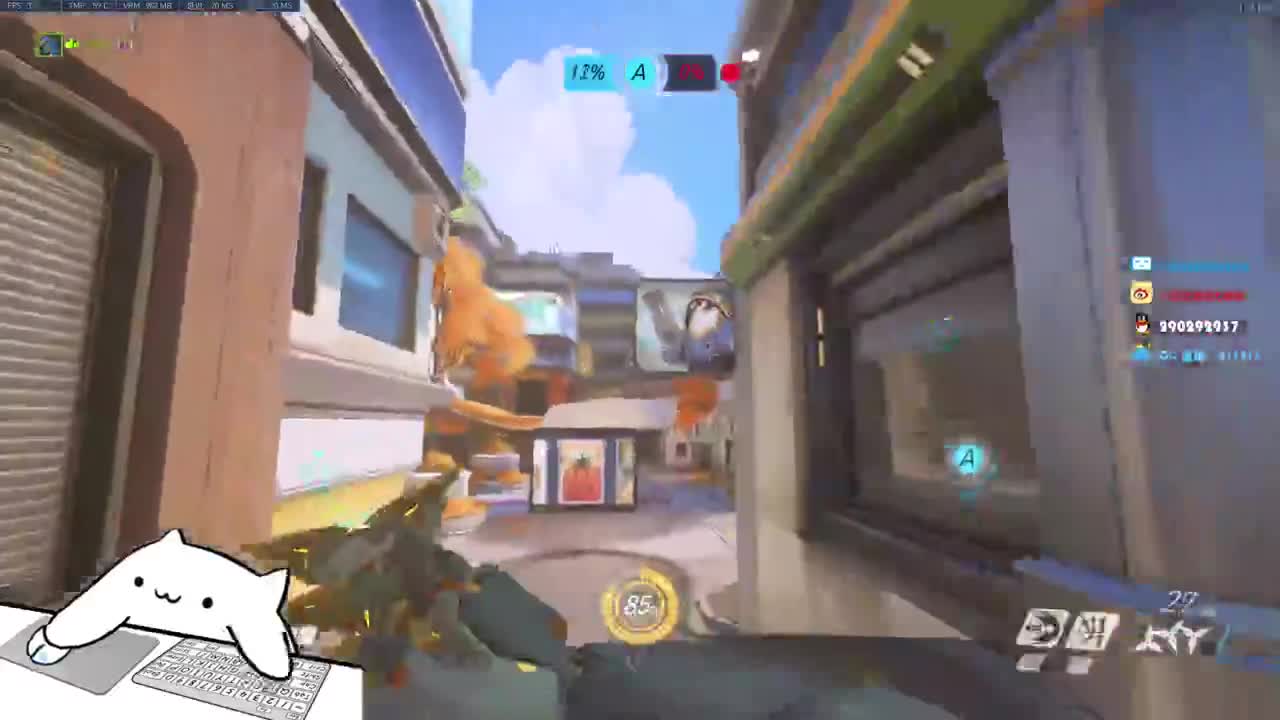 鲨