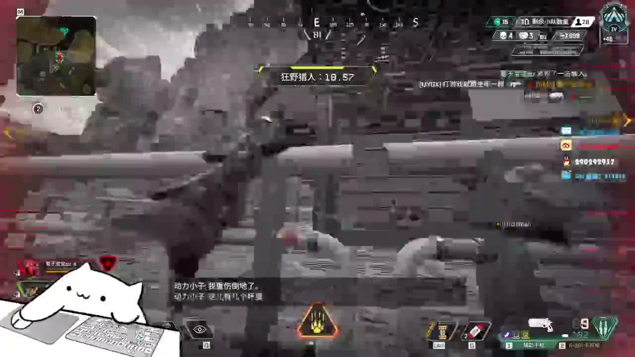 鲨