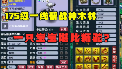 梦幻西游：175一线帮战神木林，14+9超强装备，宝宝必是托还猛？