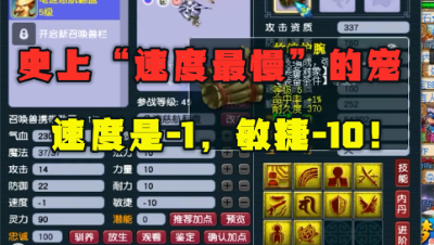 梦幻西游：堪称“史上之最”，速度是-1的宝宝见过吗？敏捷-10！