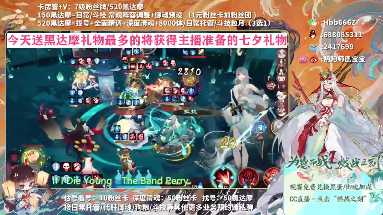 接调号/崽战/托管~ 第1段