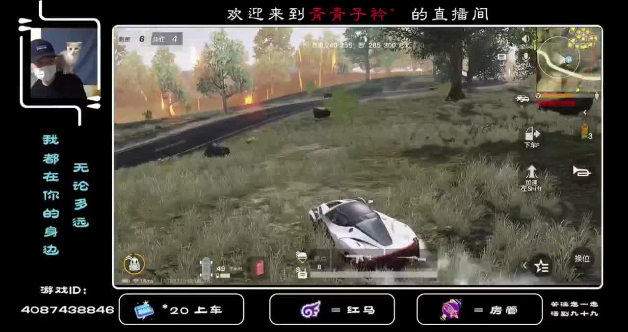 遇见你们真好 感谢陪伴。