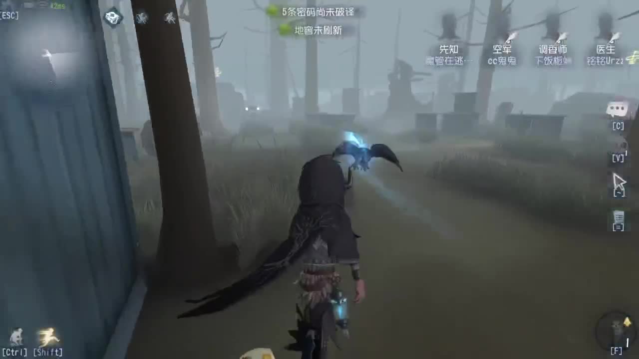 洋洋洋：中午好呀