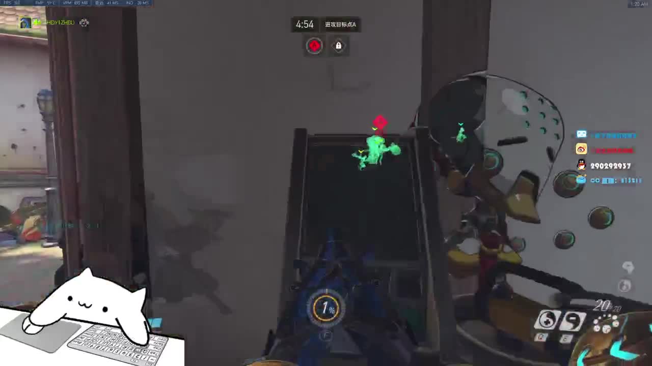 鲨