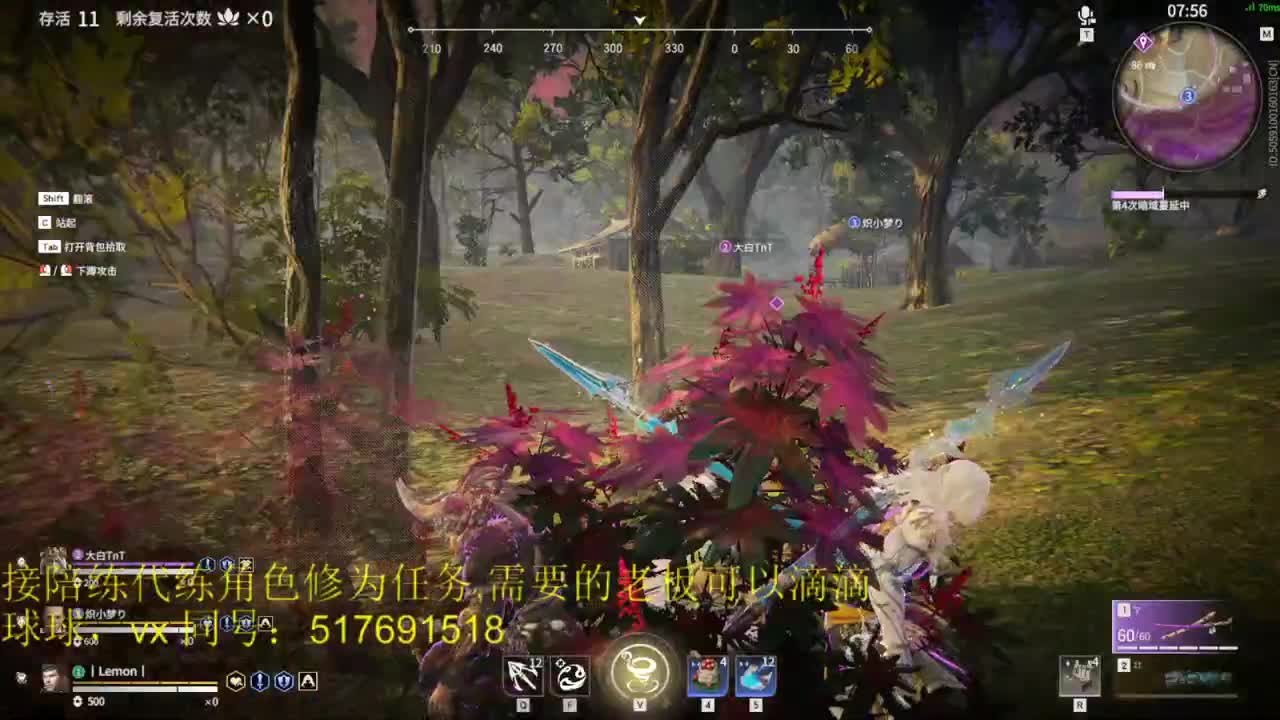 三测榜10接陪玩,代链,角色修为。 第4段