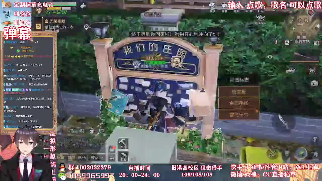 鸽王稻草