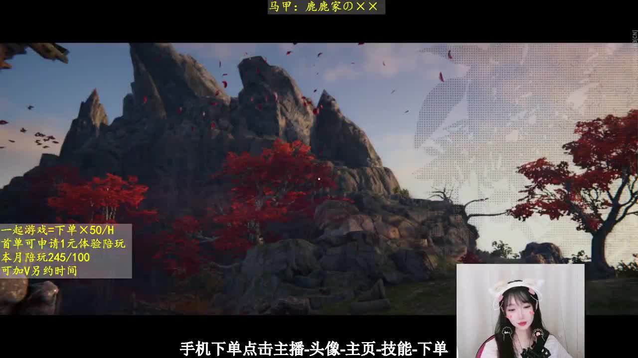 我的愿望是一打三 第2段