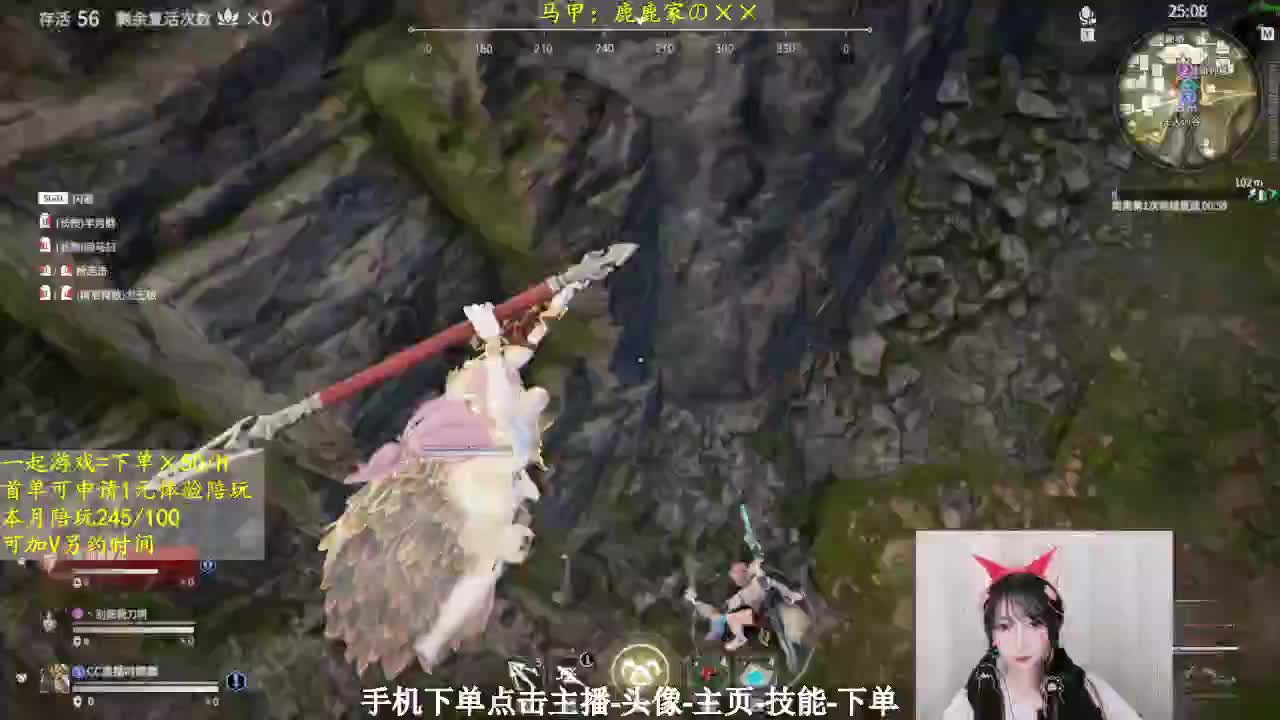 我的愿望是一打三