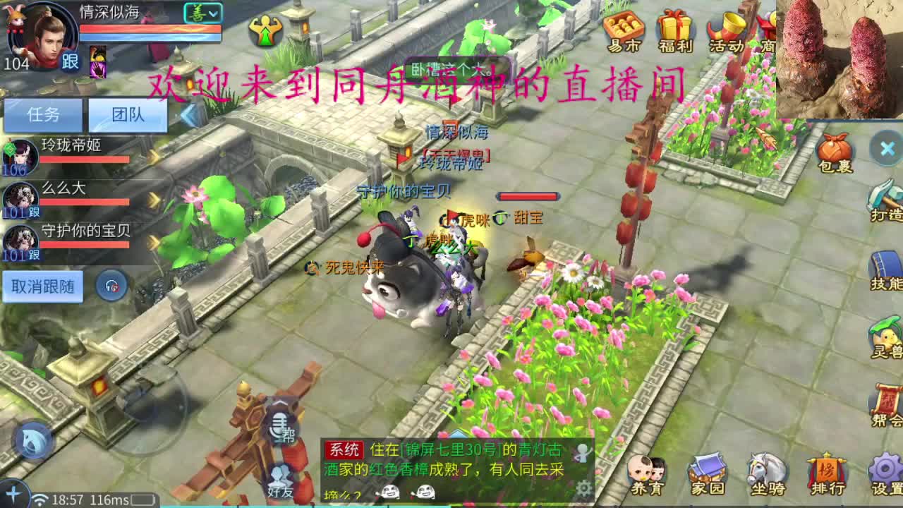 你好 九月  新主播 求关注