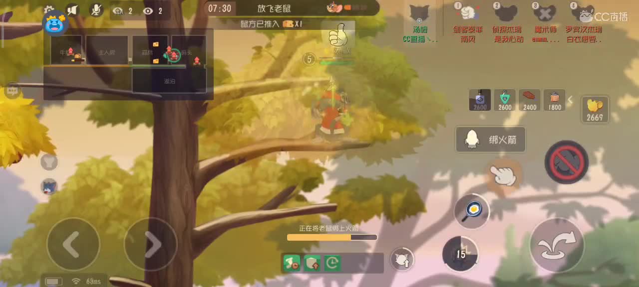 猫和鼠都玩，越来越好嗷～
