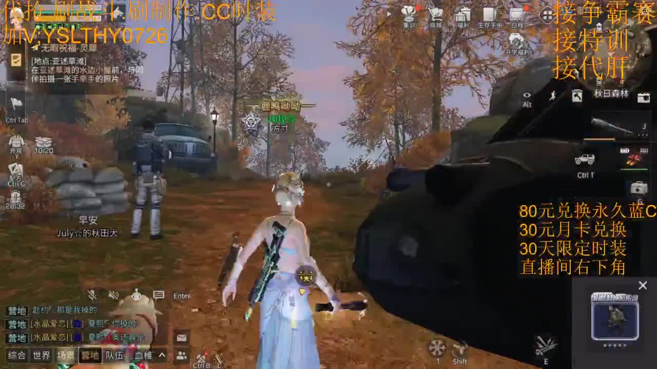 5元兑换永久宠物CC时装