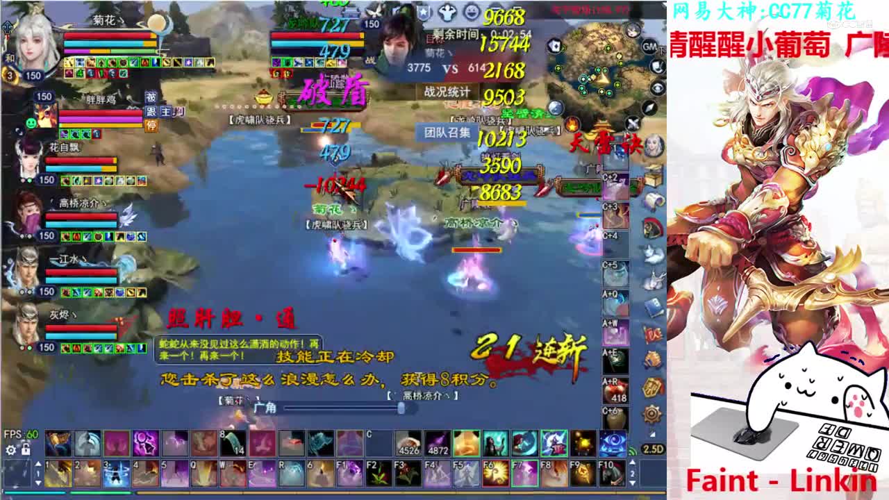 菊花150司星