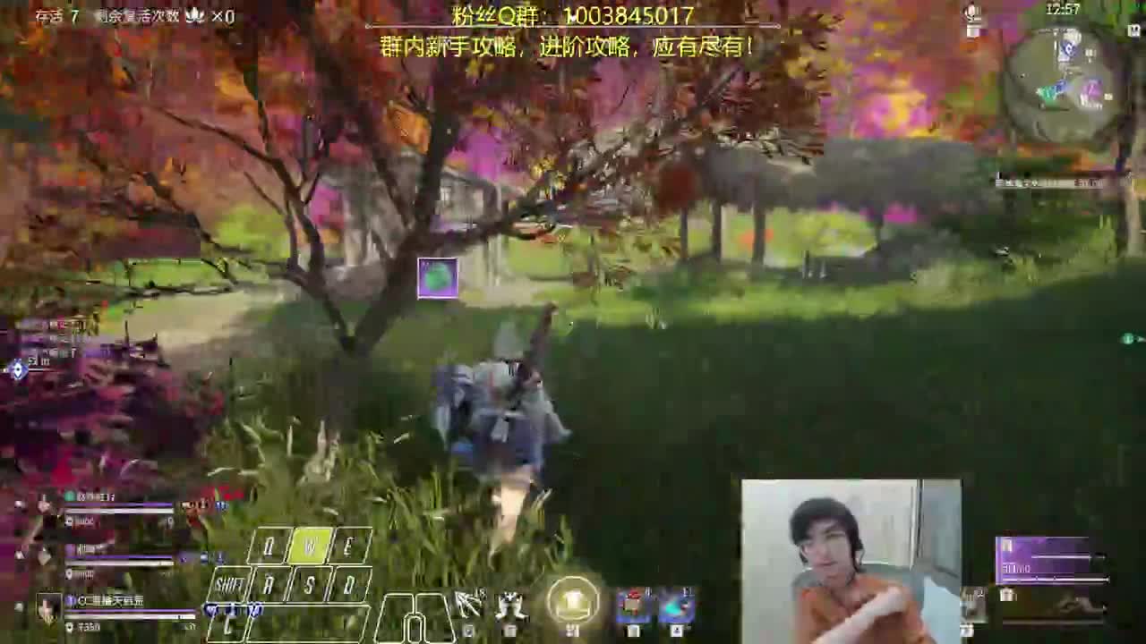 掌中宝上线！ 第3段