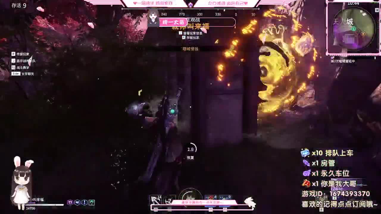 爱网易