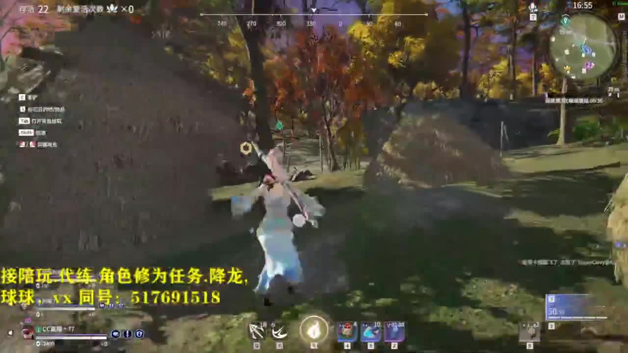 多测榜前10接陪玩,屠龙,修为,英雄分.段位. 第1段