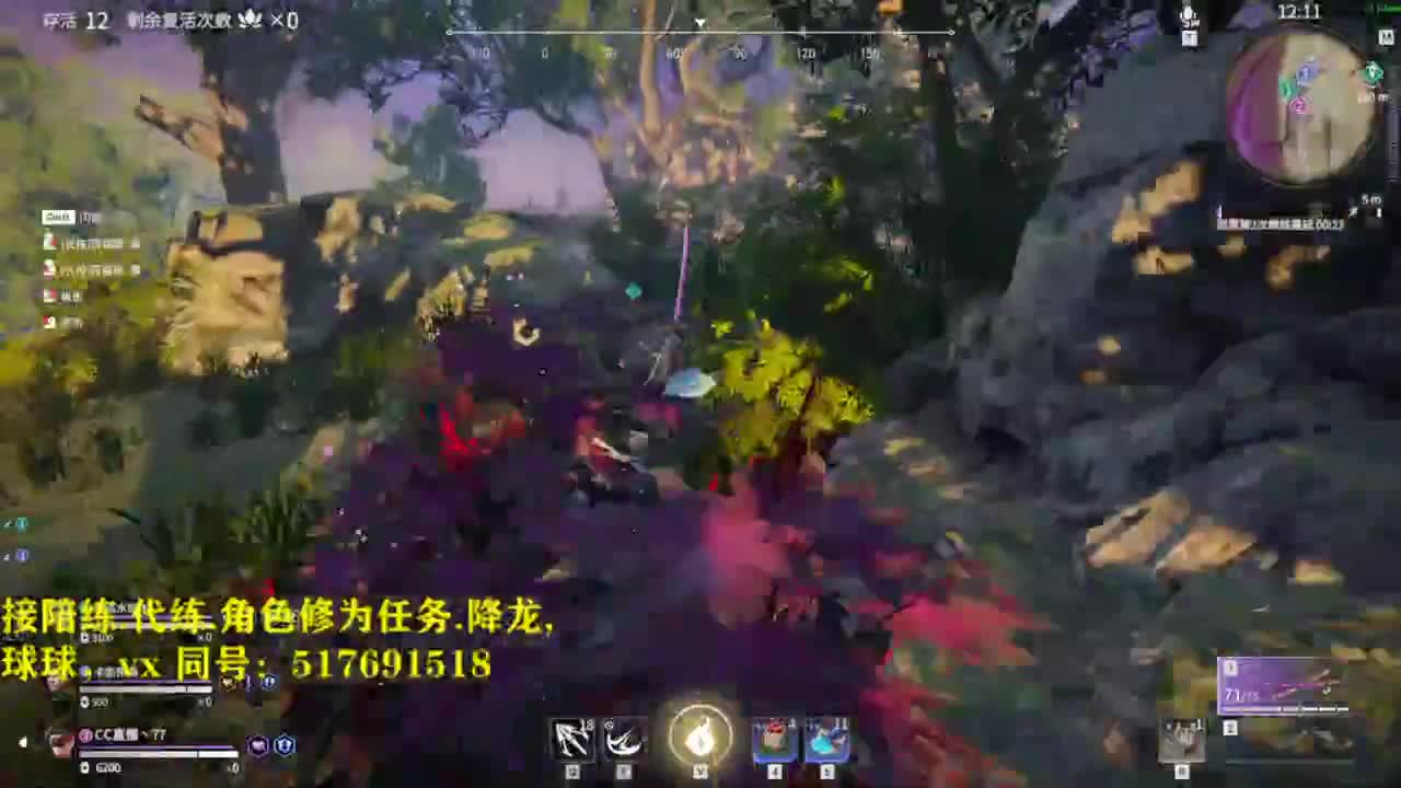 多测榜前10接陪练,屠龙,修为,英雄分.段位. 第1段